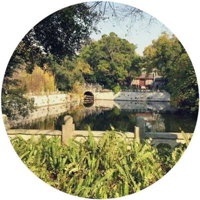 伊朗：若支持伊敌对势力某国将遭攻击